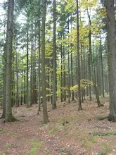Zlatá Koruna 21.-23.10.2011
